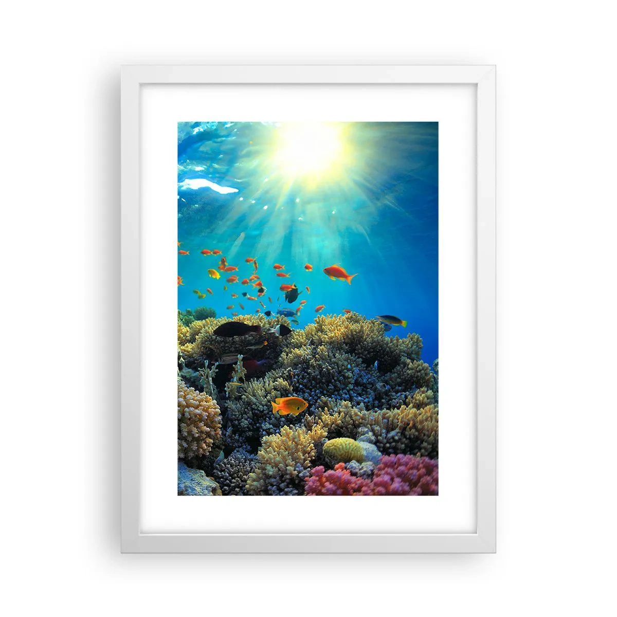 Poster in einem weißen Rahmen - Unterwasserschätze - 30x40 cm