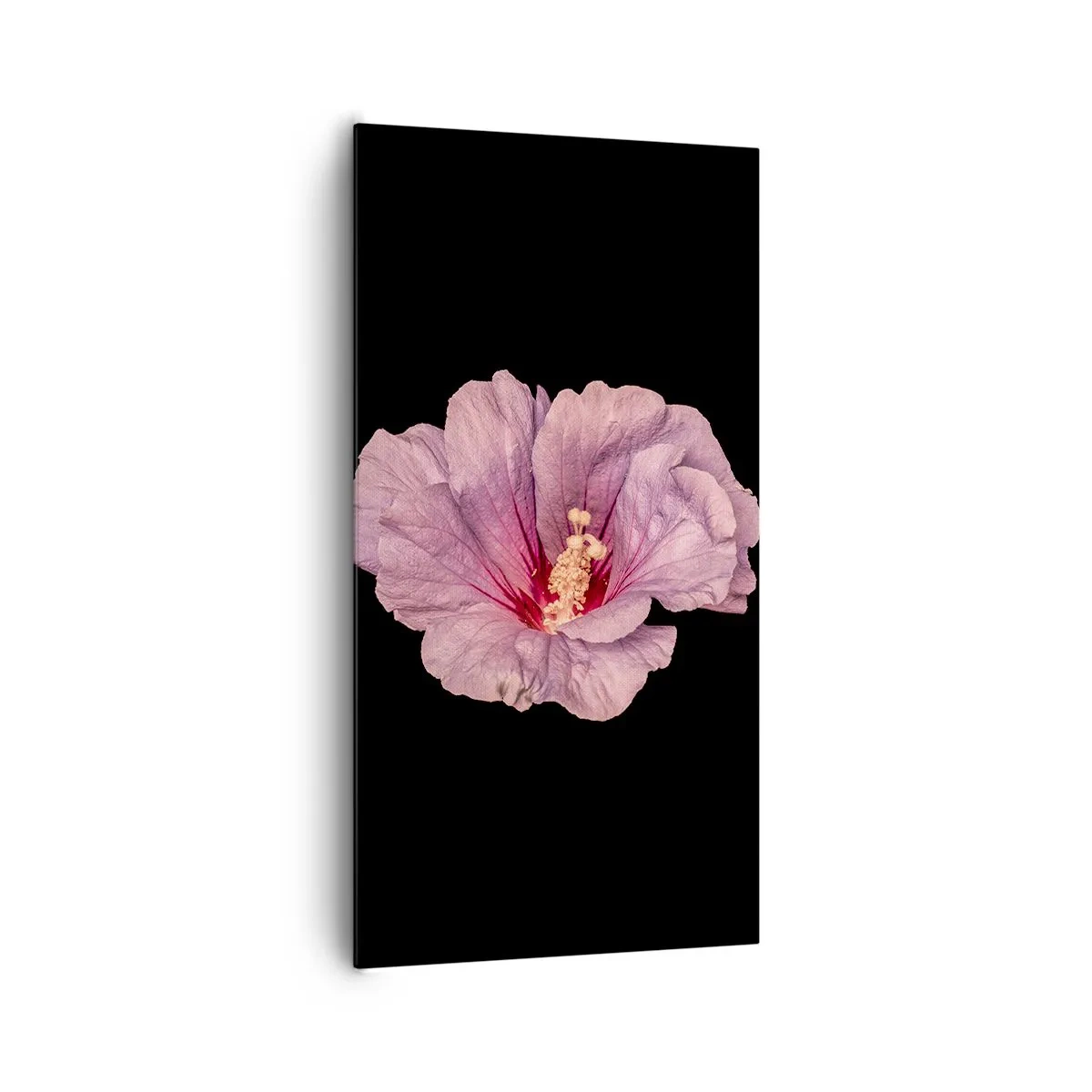 Bild auf Leinwand - Leinwandbild - Direkt ins Herz - 65x120 cm