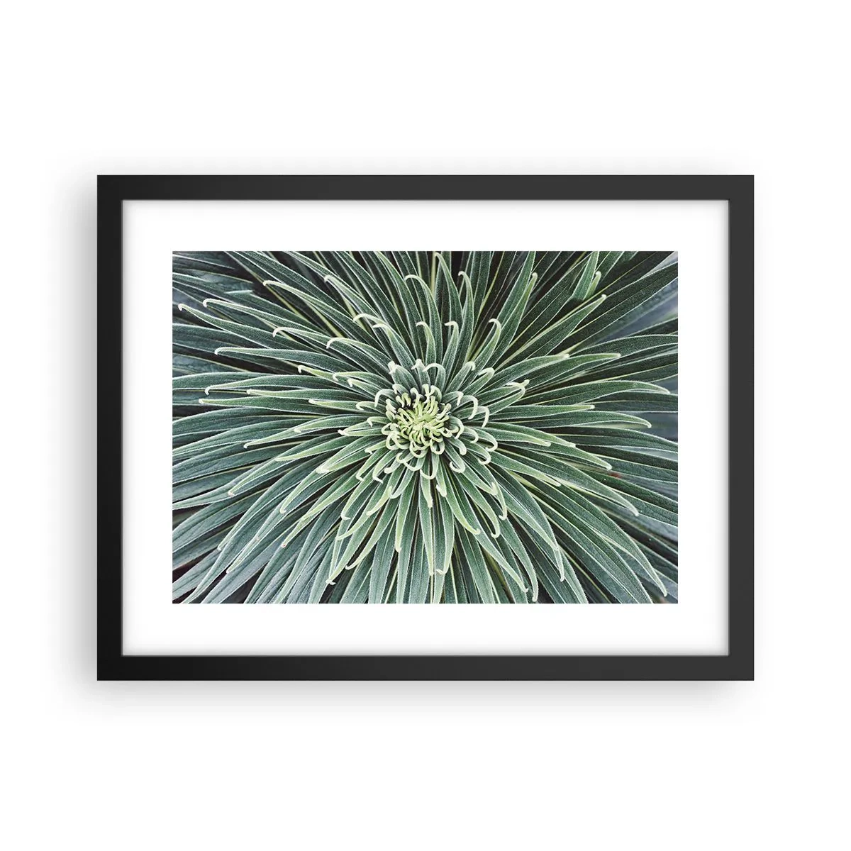 Poster in einem schwarzem Rahmen - Ein Star ist geboren - 40x30 cm