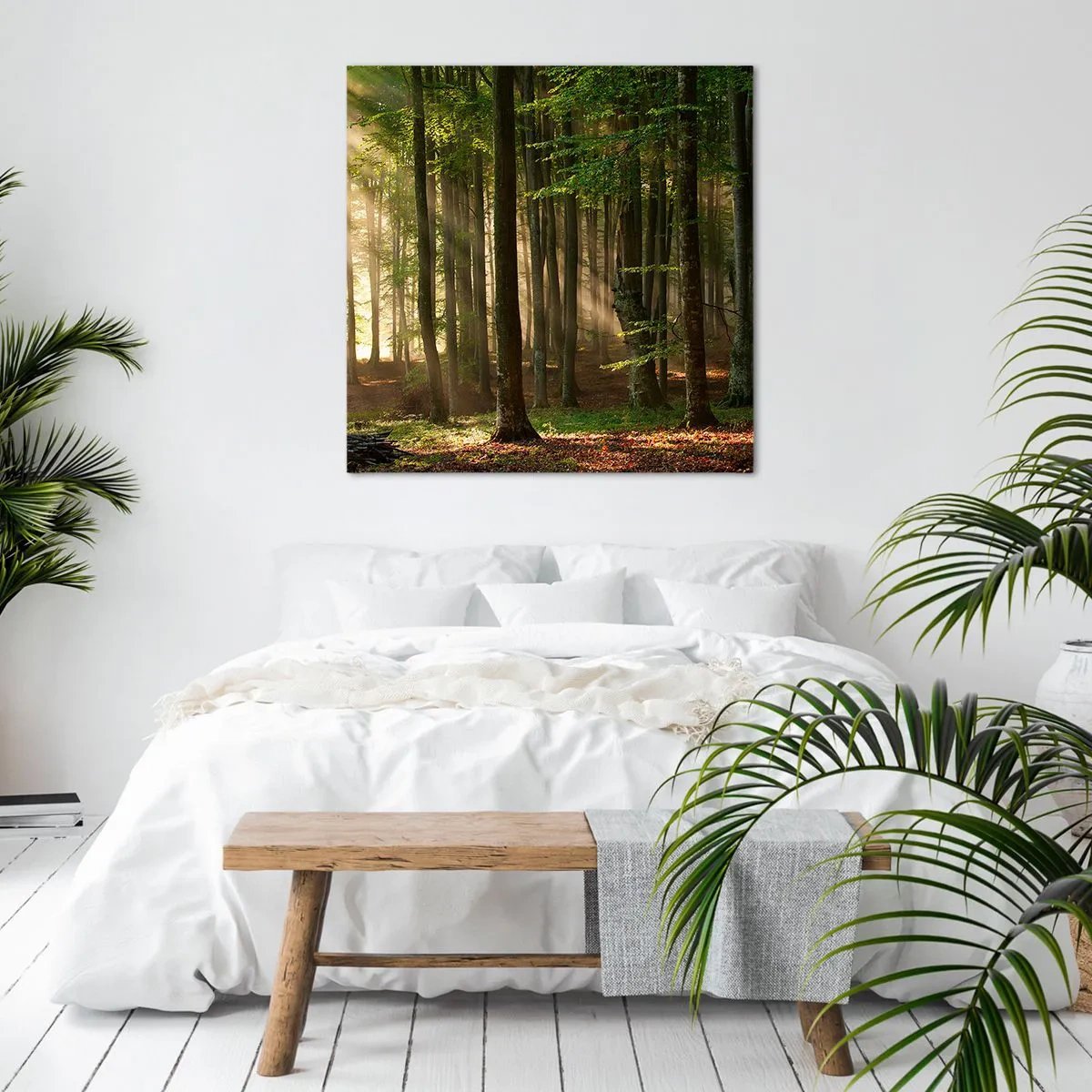 Bild auf Leinwand - Leinwandbild - Strahlend an einem Frühlingsmorgen - 50x50 cm