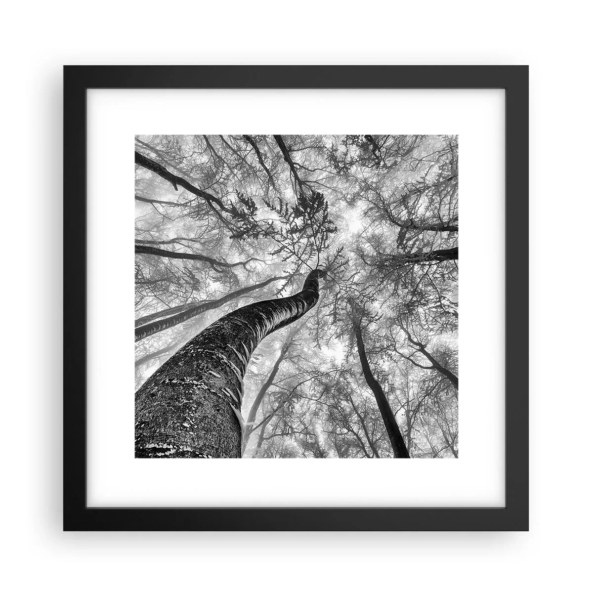 Poster in einem schwarzem Rahmen - Rennen zum Licht - 30x30 cm