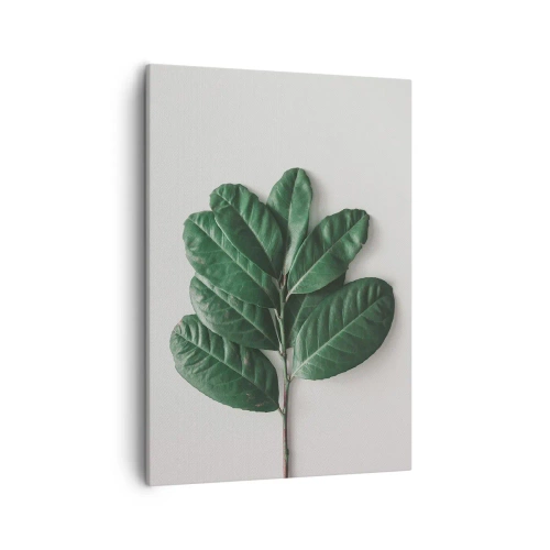 Bild auf Leinwand - Leinwandbild - Ein Zweig grüner Blätter auf hellem Hintergrund - 50x70cm - Eine Zeichnung purer Natur - Moderne Wanddekoration für Wohnzimmer und Schlafzimmer ARTTOR