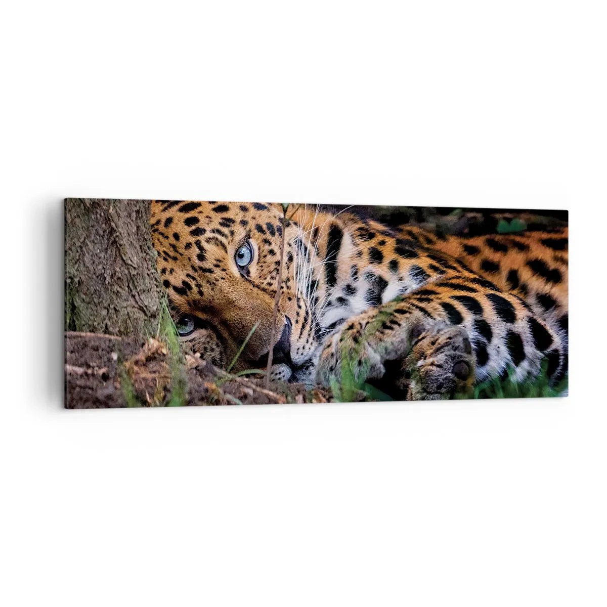Bild auf Leinwand - Leinwandbild - Ein Leopard, der im Schatten der Bäume liegt - 140x50cm - Vertrau mir - Moderne Wanddekoration für Wohnzimmer und Schlafzimmer ARTTOR