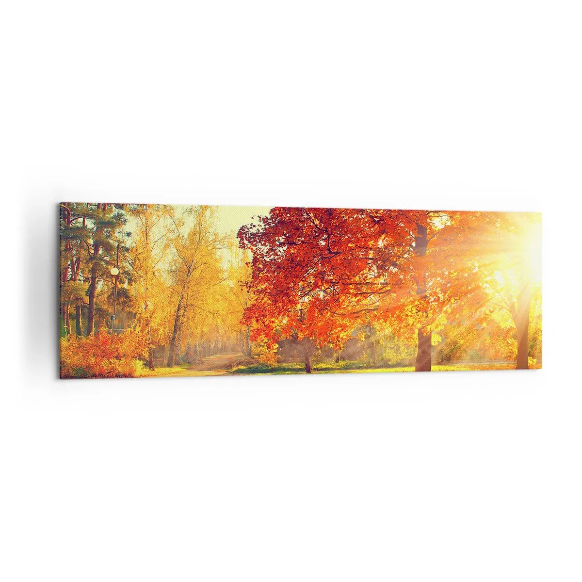 Bild auf Leinwand - Leinwandbild - Herbstpark im Sonnenlicht - 160x50cm - Unhöflich ist schön - Moderne Wanddekoration für Wohnzimmer und Schlafzimmer ARTTOR