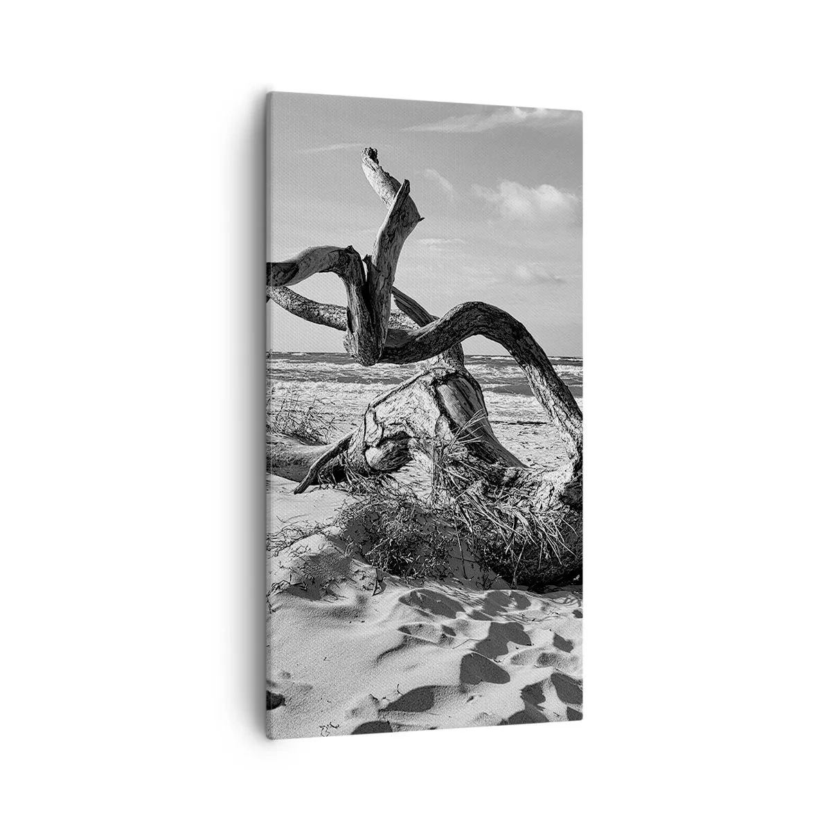 Bild auf Leinwand - Leinwandbild - Meeresskulptur - 55x100 cm