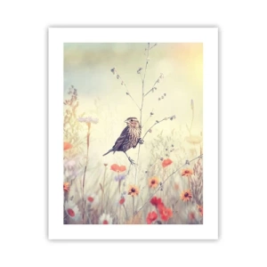 Poster - Vogelporträt mit einer Wiese im Hintergrund - 40x50 cm