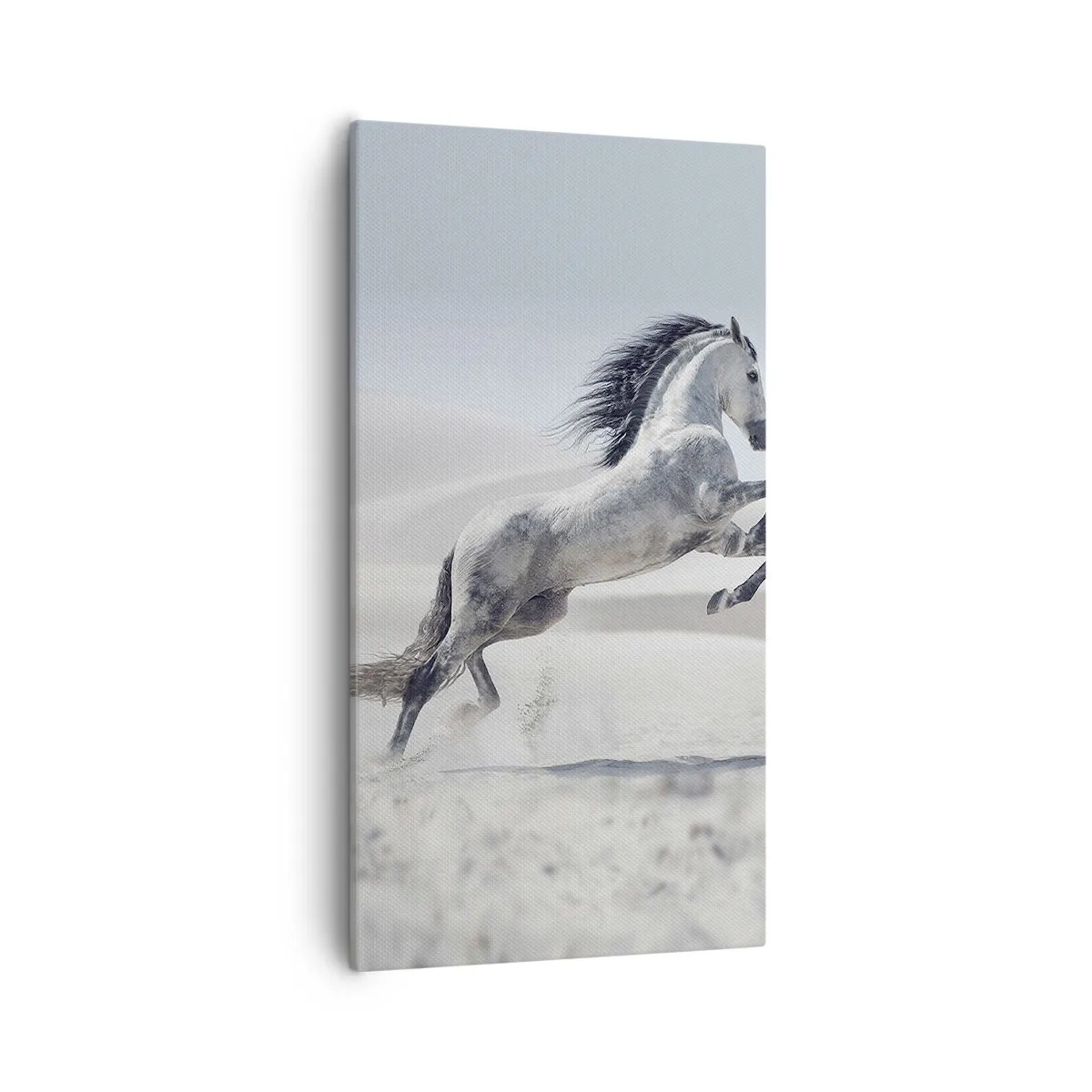 Bild auf Leinwand - Leinwandbild - Arabischer Prinz - 55x100 cm