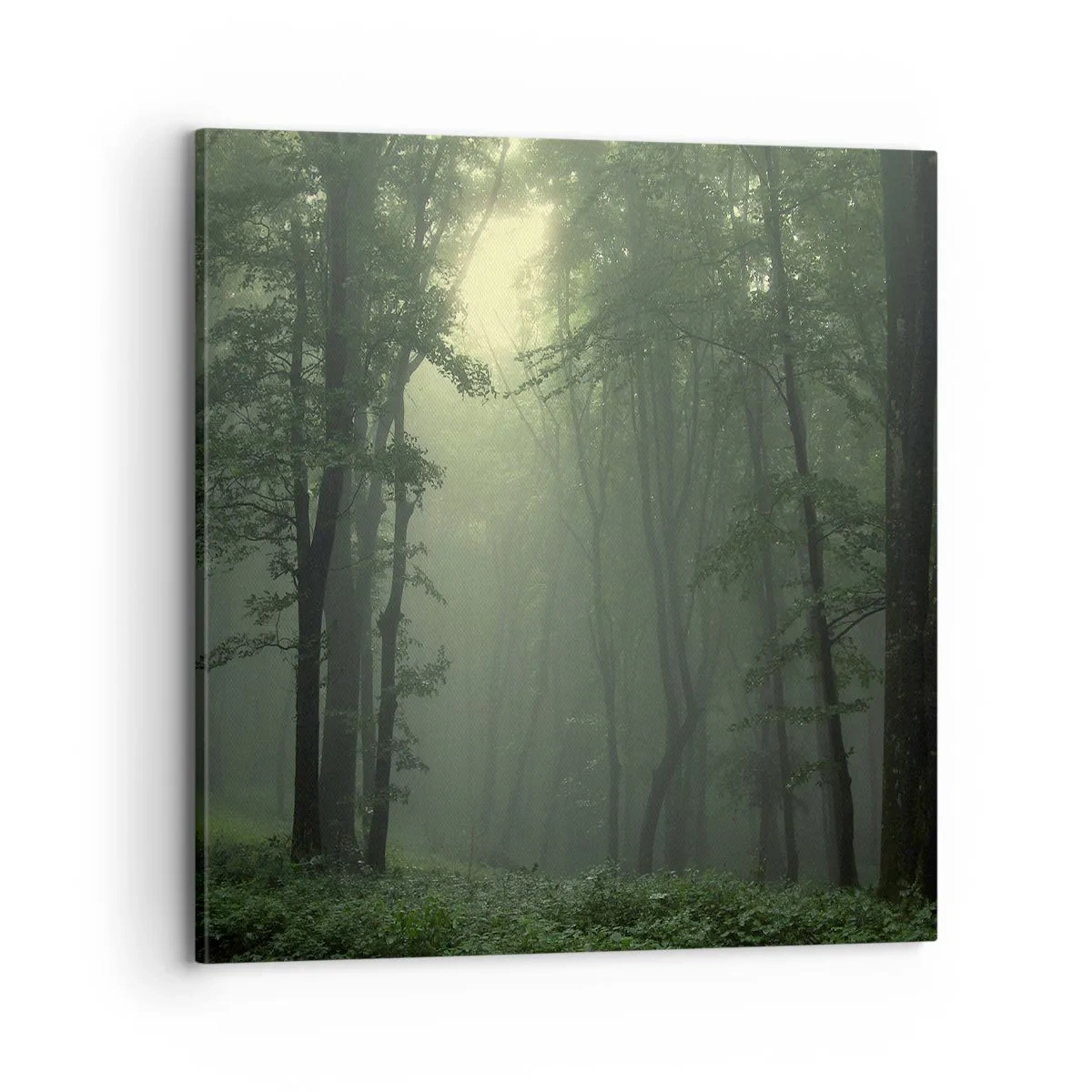 Bild auf Leinwand - Leinwandbild - Bevor er aufwacht - 70x70 cm