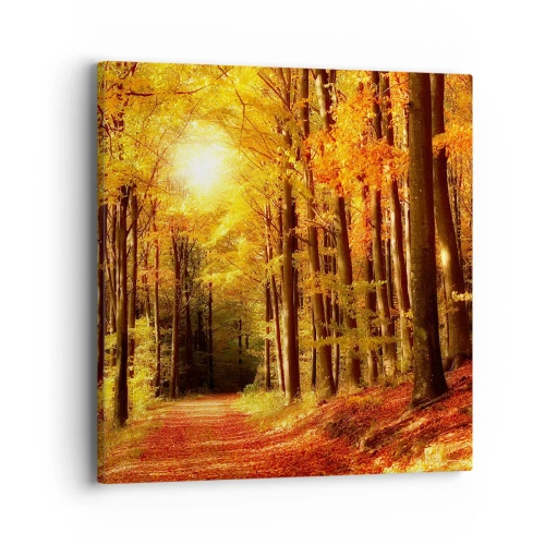 Bild auf Leinwand - Leinwandbild - Goldener Herbst auf einer Forststraße - 40x40 cm