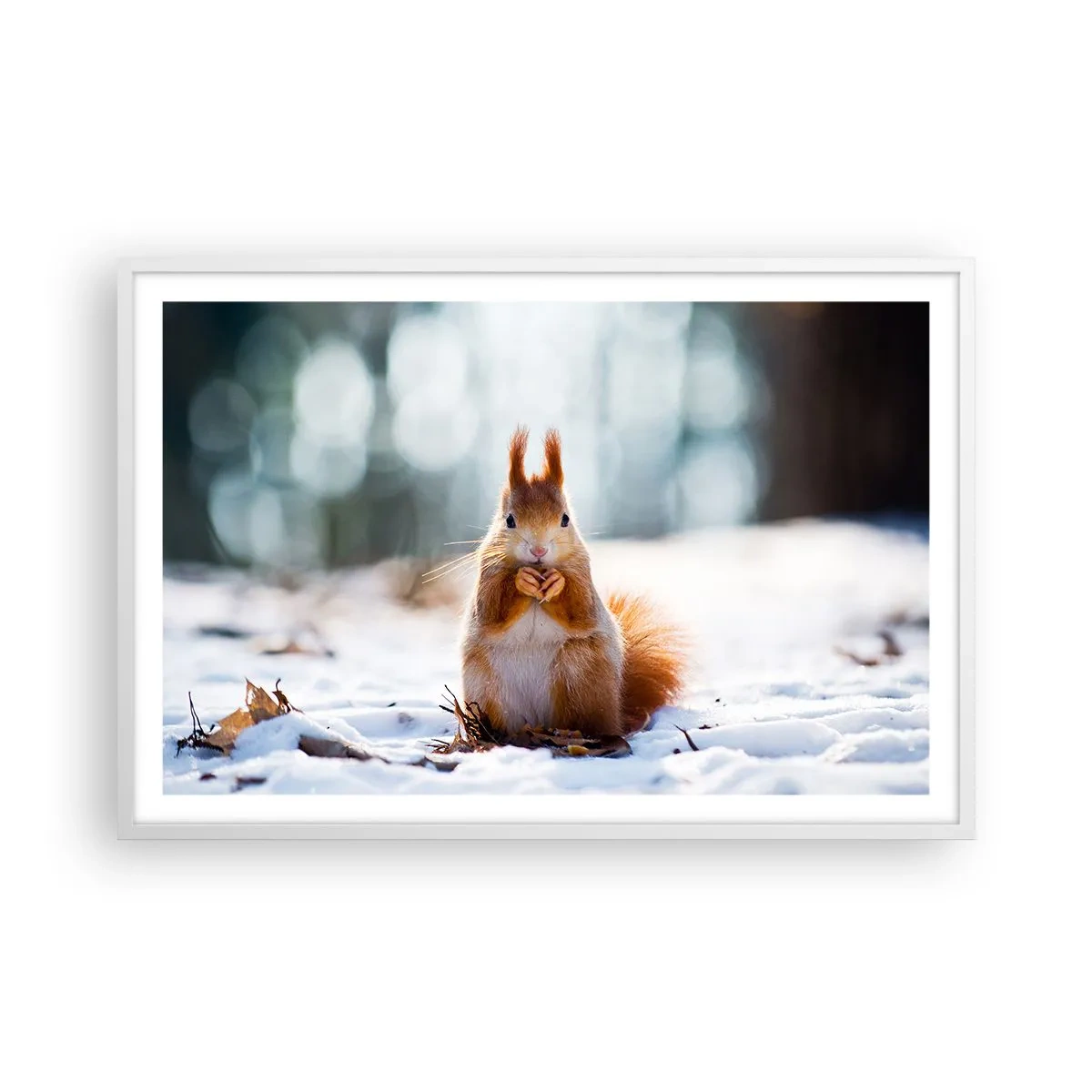 Poster in einem weißen Rahmen - Wo schaust du hin? - 91x61 cm