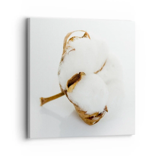 Bild auf Leinwand - Leinwandbild - Von Natur aus weich - 30x30 cm