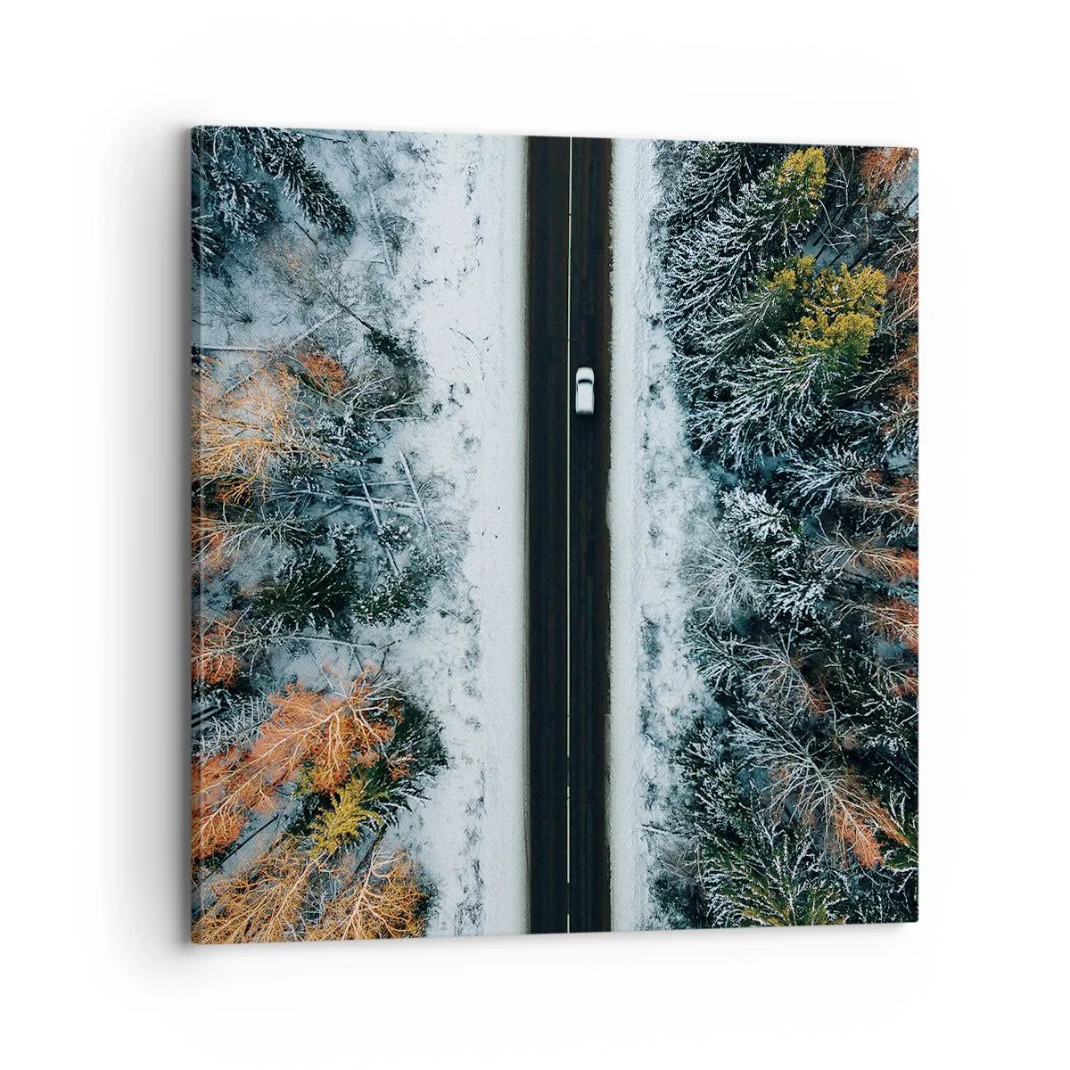 Bild auf Leinwand - Leinwandbild - Schnitt durch den Winterwald - 70x70 cm