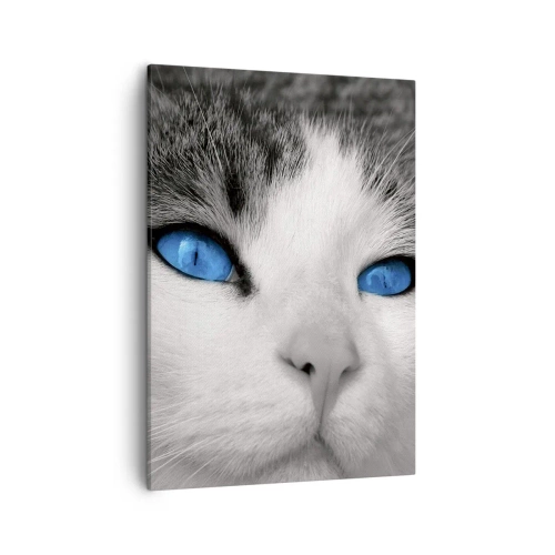 Bild auf Leinwand - Leinwandbild - Porträt einer Katze mit blauen Augen im Schwarz-Weiß-Stil - 50x70cm - Ungewöhnlich blauäugig - Moderne Wanddekoration für Wohnzimmer und Schlafzimmer ARTTOR
