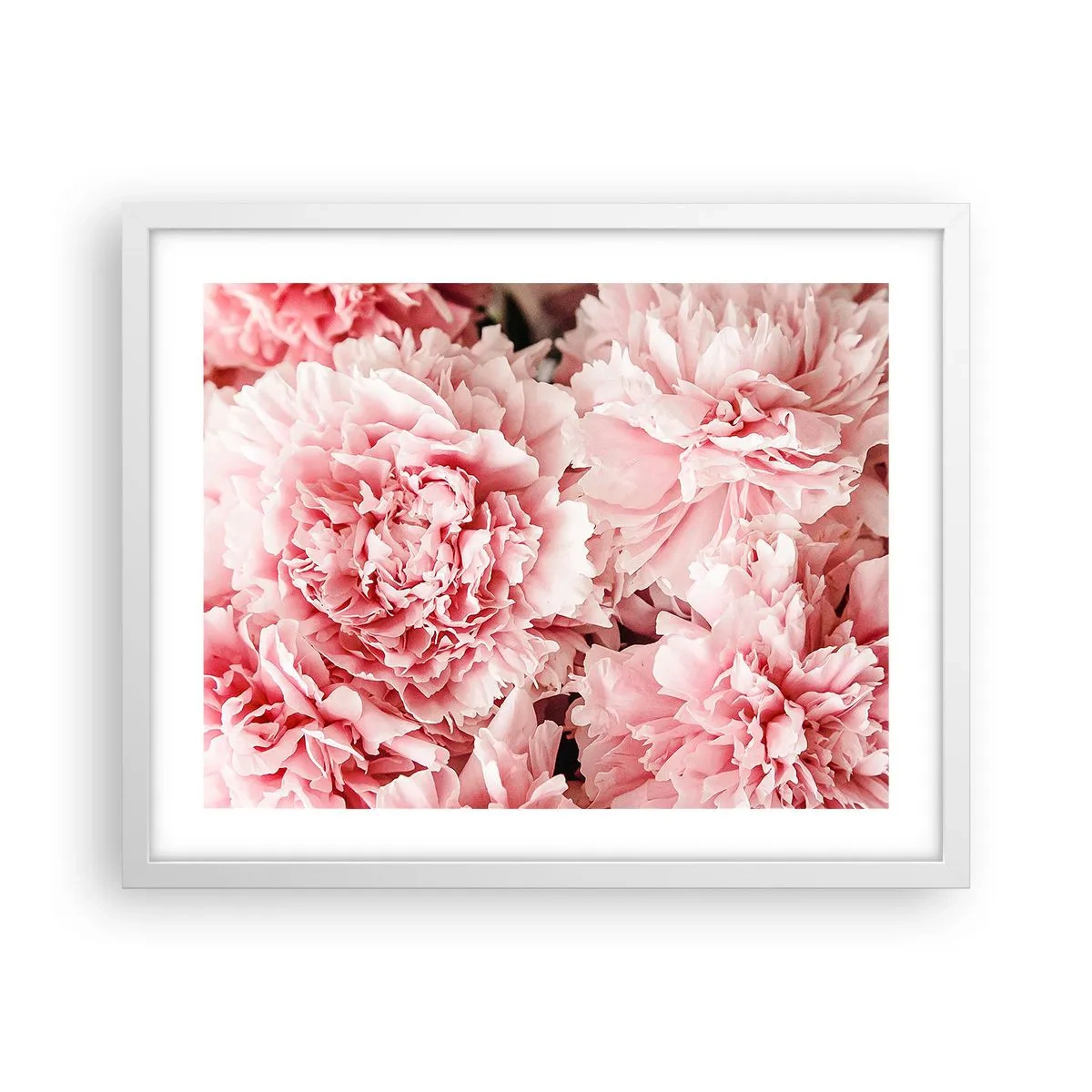 Poster in einem weißen Rahmen - Rosa Traum - 50x40 cm