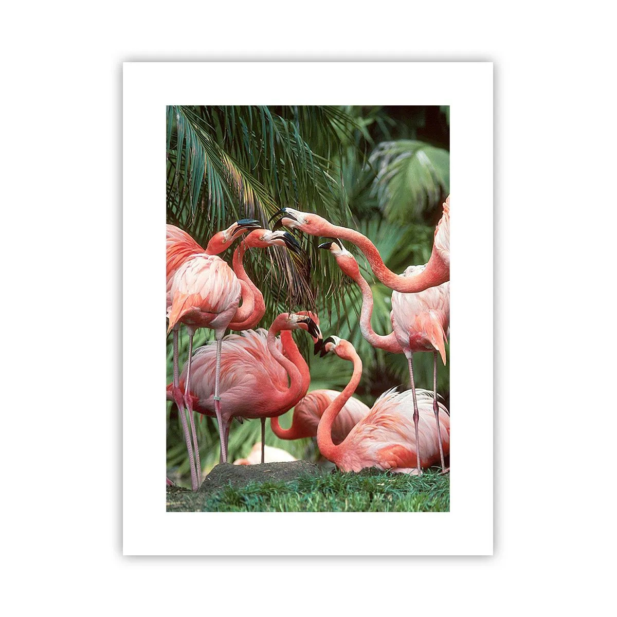 Poster - Nachmittagsklatsch - 30x40 cm