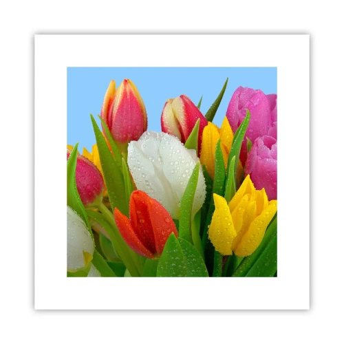 Poster - Ein blumiger Regenbogen in Tautropfen - 30x30 cm