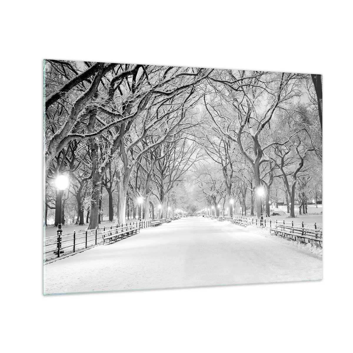 Glasbild - Bild auf glas - Winterbaumallee im Park mit Lichtern und Schnee - 70x50cm - Vier Jahreszeiten - Winter - Moderne Wanddekoration für Wohnzimmer und Schlafzimmer ARTTOR