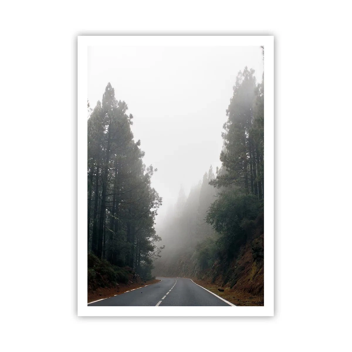 Poster - Eine Geschichte von einem magischen Wald - 70x100 cm