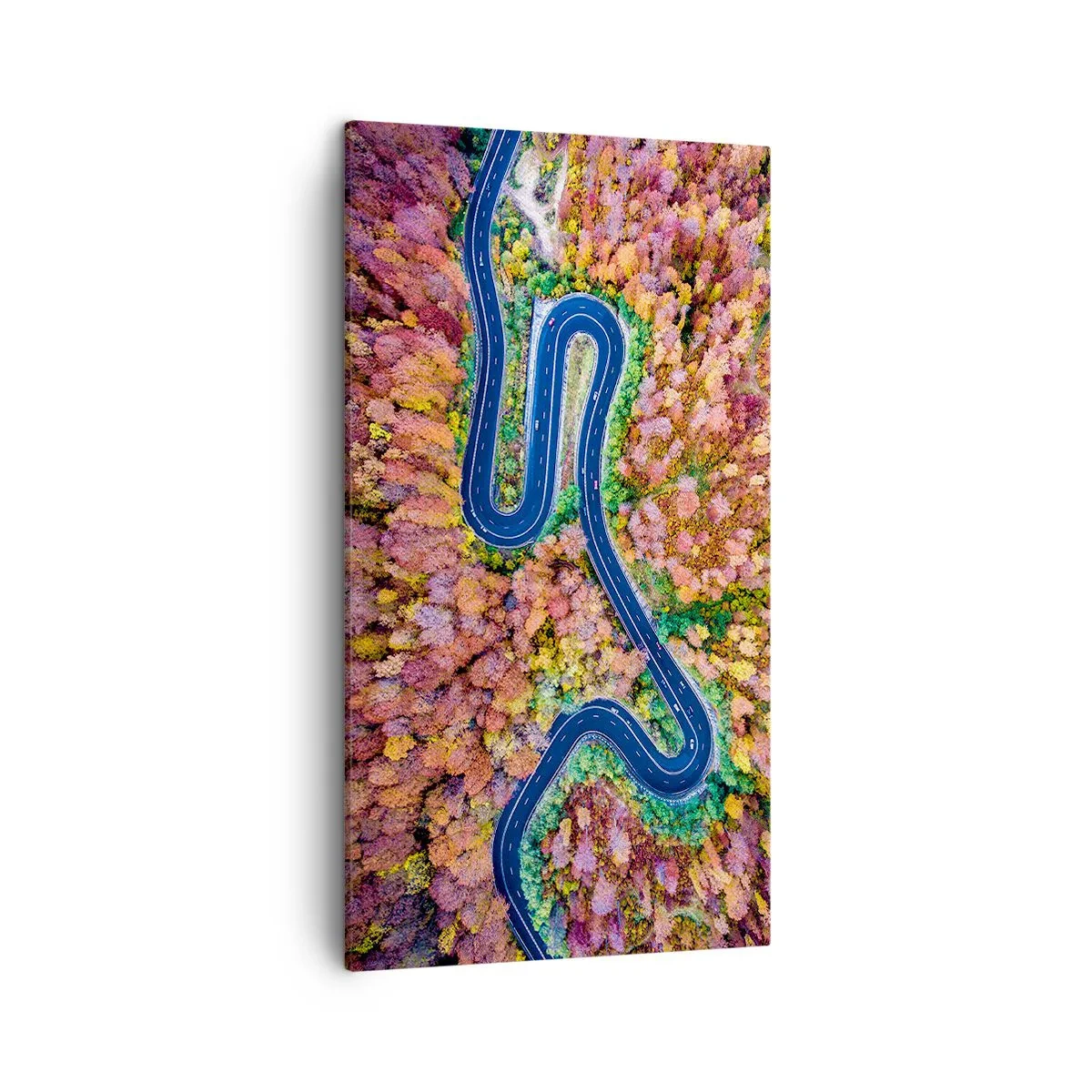Bild auf Leinwand - Leinwandbild - Kurvenreicher Weg durch den Wald - 45x80 cm