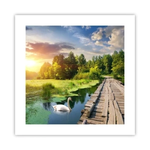 Poster - Sommer, Sommer überall - 40x40 cm