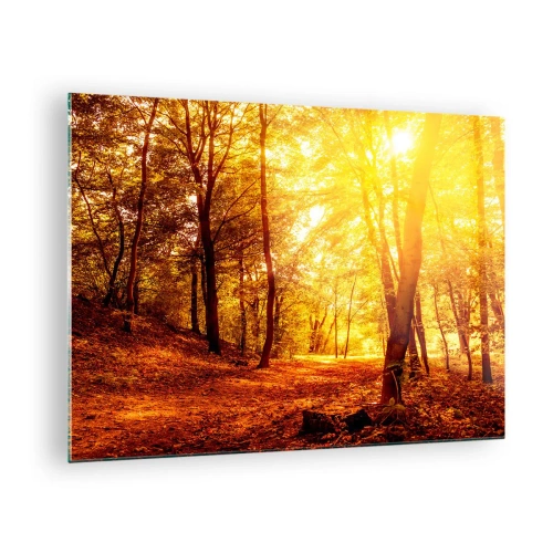 Glasbild - Bild auf glas - Herbstwald, beleuchtet vom warmen Schein der Sonne - 70x50cm - Auf die goldene Lichtung - Moderne Wanddekoration für Wohnzimmer und Schlafzimmer ARTTOR