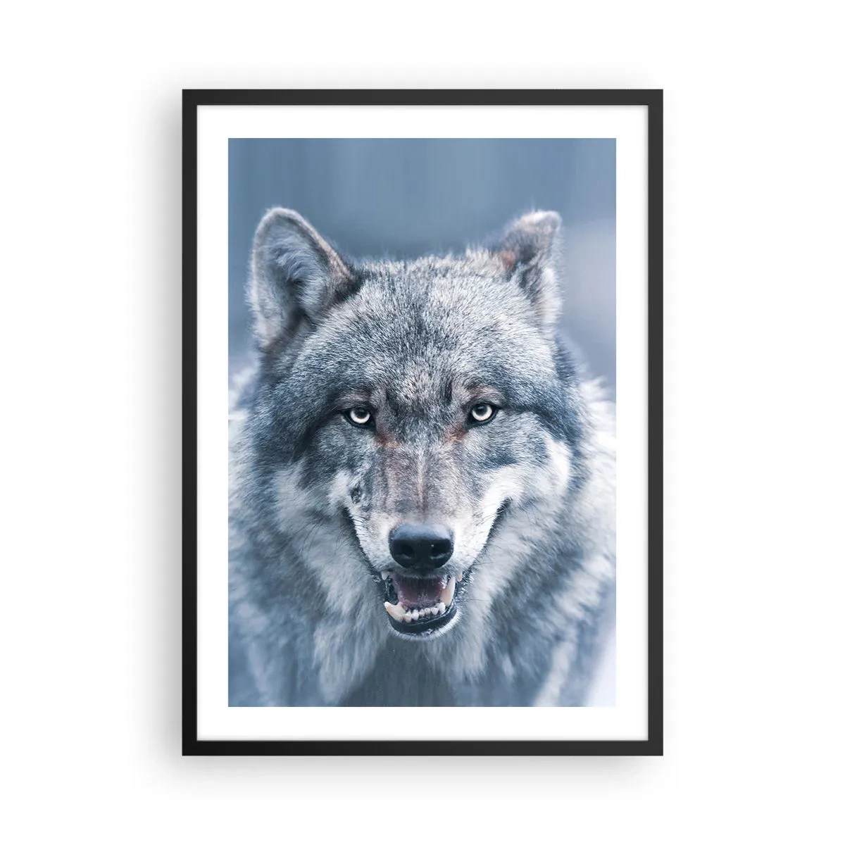 Poster in einem schwarzem Rahmen - Porträt eines Wolfes vor einer Winterlandschaft - 50x70cm - Werden Sie die Herausforderung annehmen? - Moderne Wanddekoration für Wohnzimmer und Schlafzimmer ARTTOR