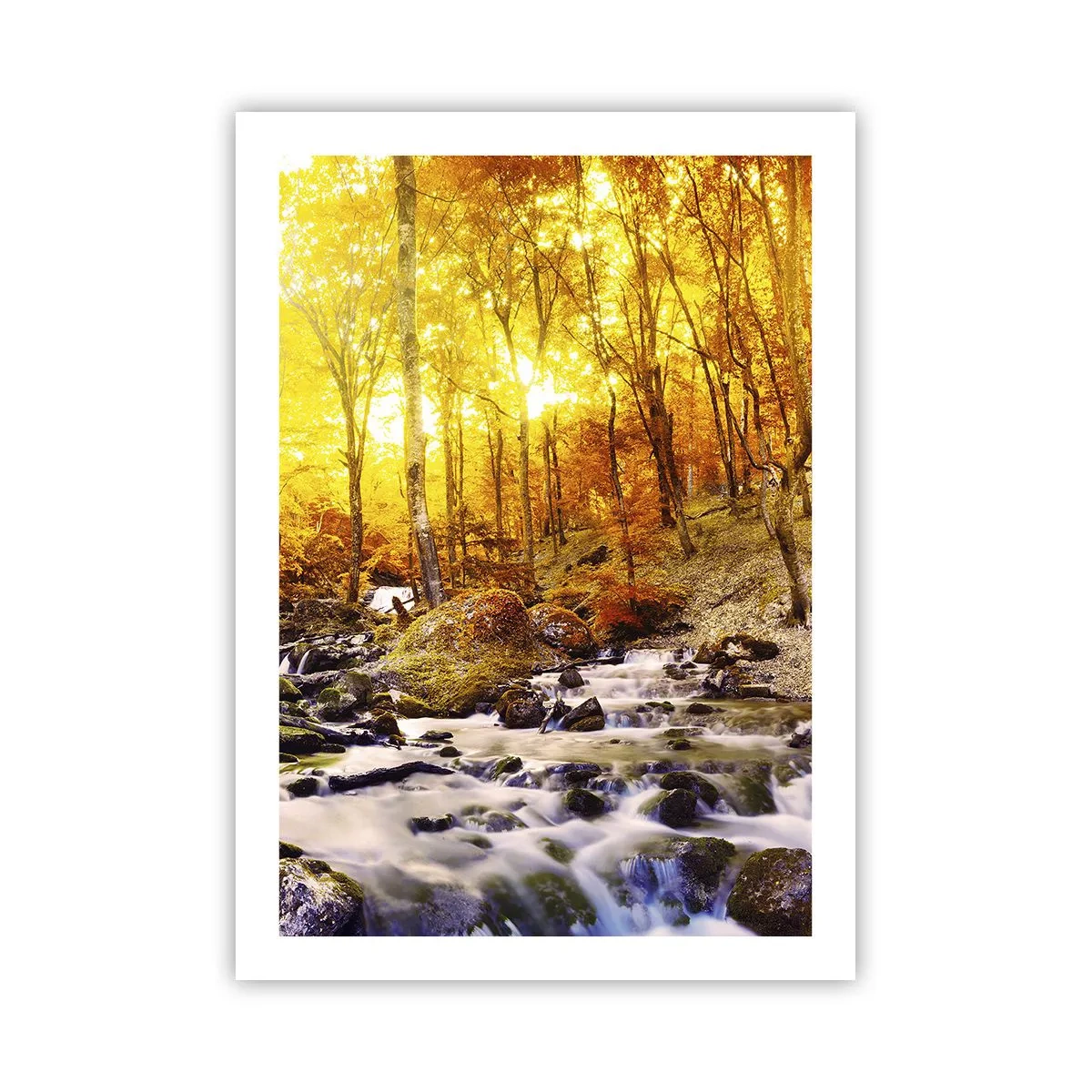 Poster - Herbstlicher Wald mit rauschendem Bach im Licht der untergehenden Sonne - 50x70cm - In Gold und Platin gefasste Steine - Moderne Wanddekoration für Wohnzimmer und Schlafzimmer ARTTOR