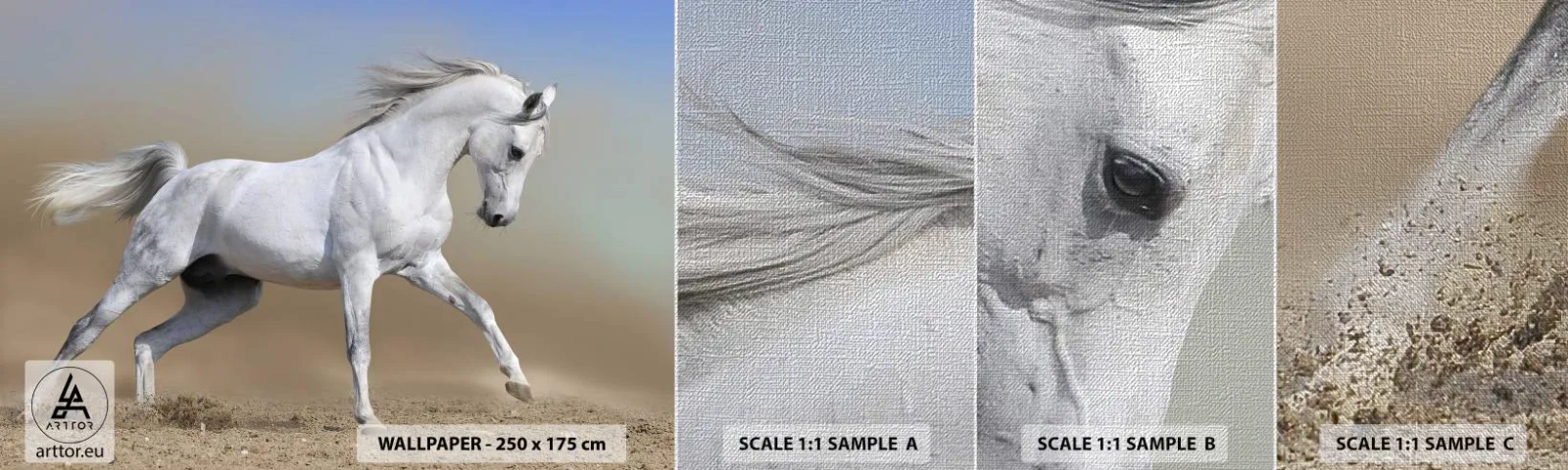 Fototapeten Muster Premium Canvas - Die schönste arabische Sage - Pferd, Tiere, Galopp - 100x30 cm