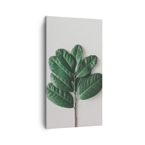 Bild auf Leinwand - Leinwandbild - Eine Zeichnung purer Natur - 45x80 cm