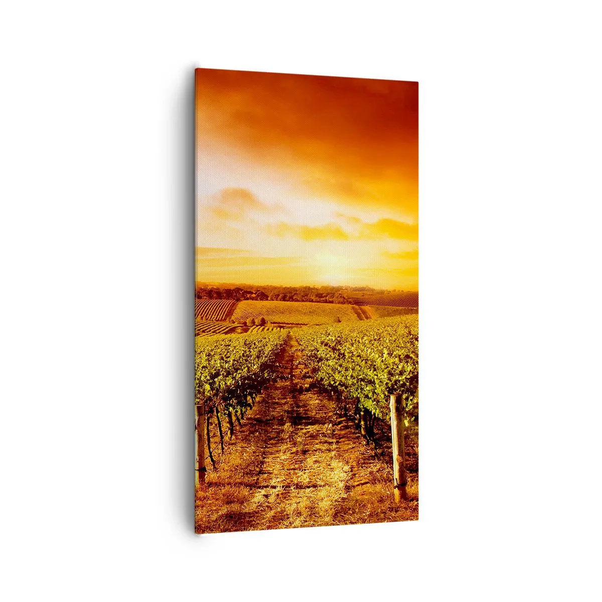 Bild auf Leinwand - Leinwandbild - Leicht fruchtig mit einem Hauch Sonnenschein - 65x120 cm