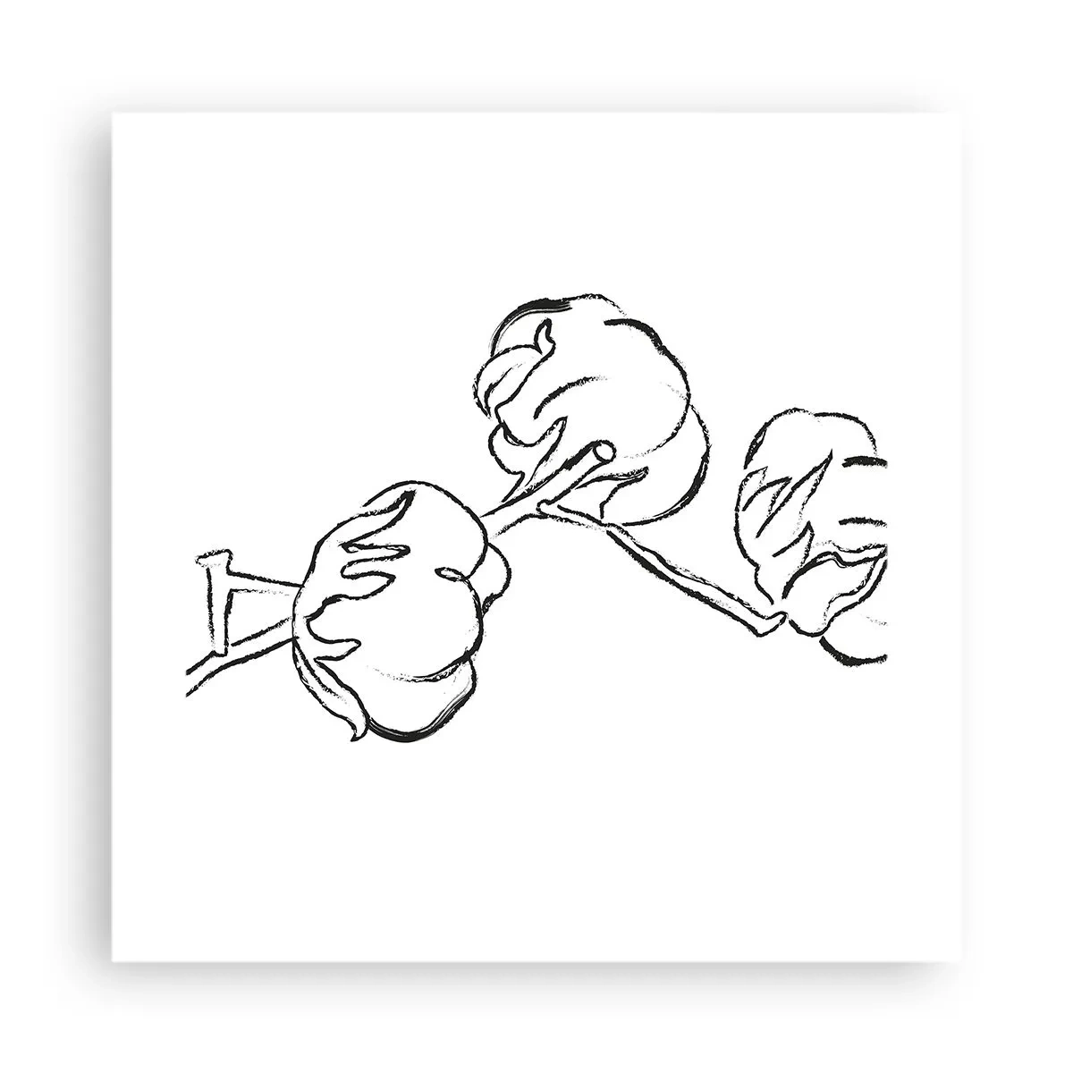 Poster - Baumwolldaunen - 40x40 cm