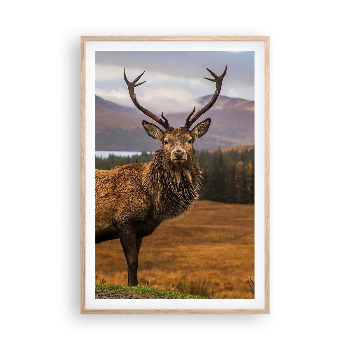 Poster in einem Rahmen aus heller Eiche - Die Majestät der Natur - 61x91 cm