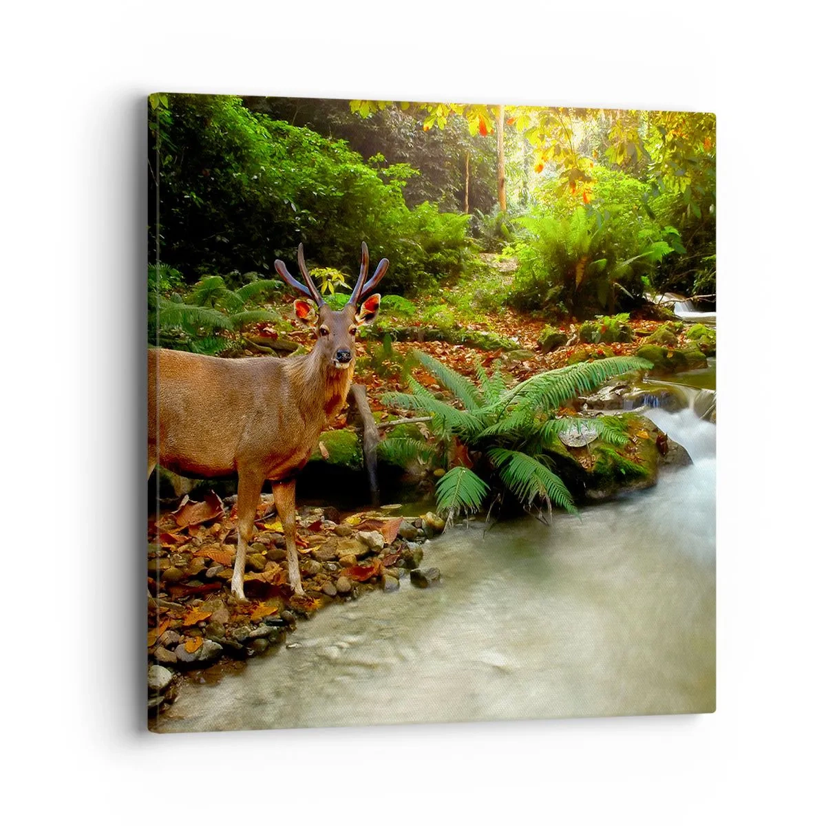 Bild auf Leinwand - Leinwandbild - Willkommen in meiner Welt - 40x40 cm