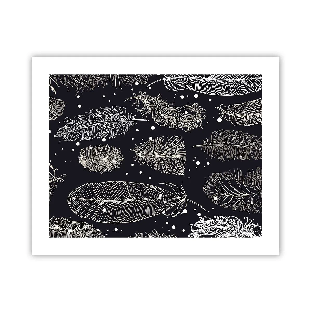 Poster - Gefiederte Spitze - 50x40 cm