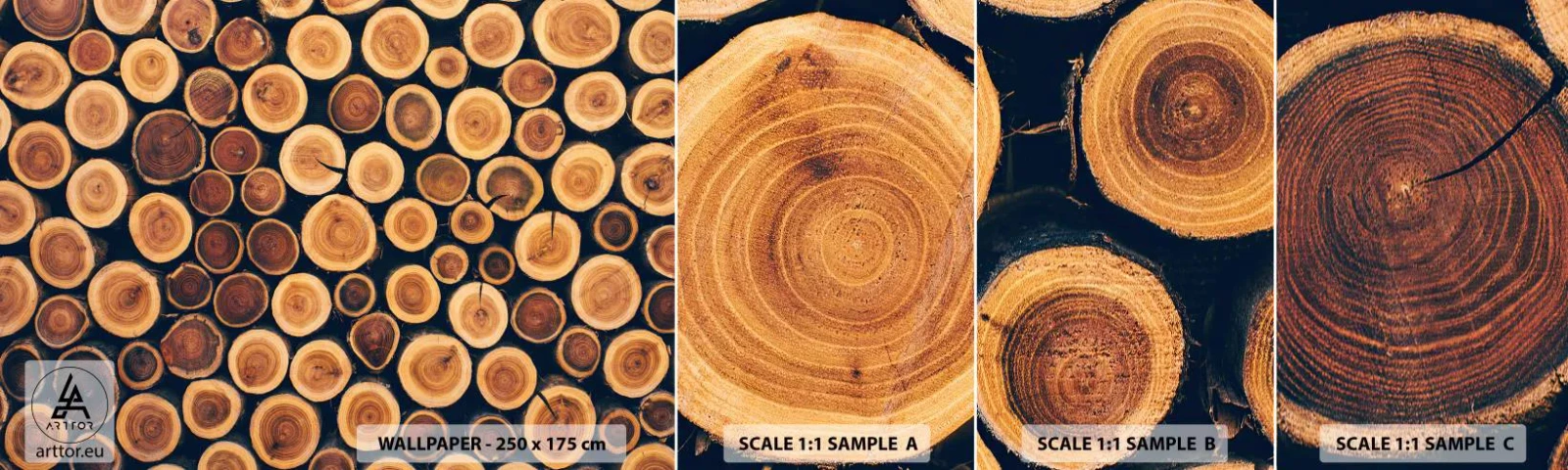 Fototapetenmuster Standard Eco - Wie alt sehe ich aus? - Baumstamm, Wald, Stück - 100x30 cm