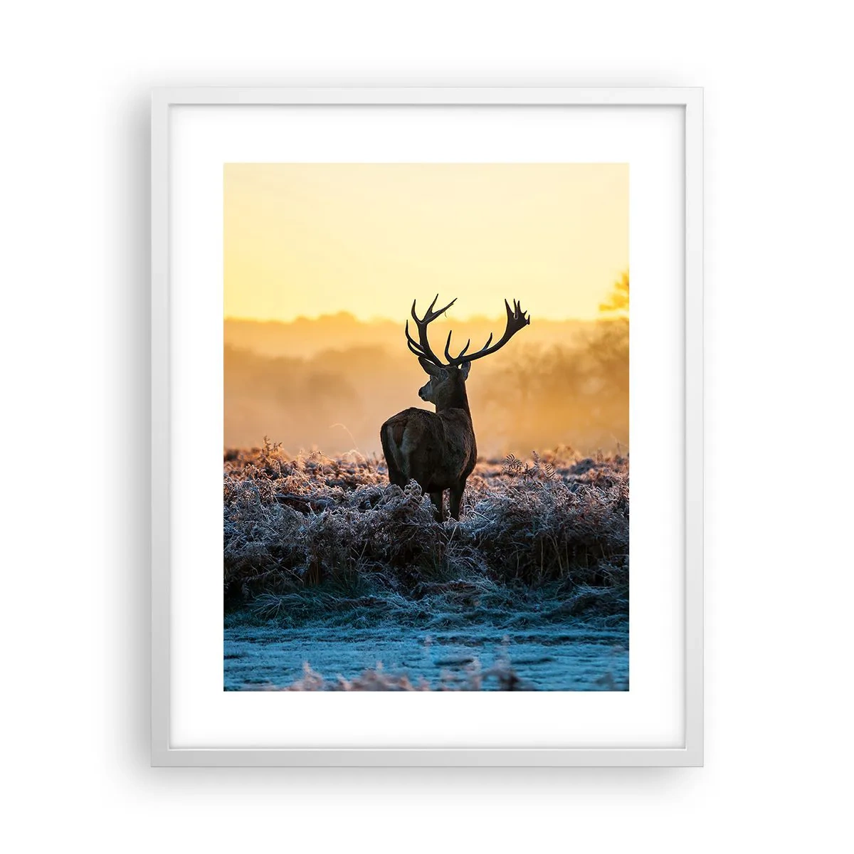 Poster in einem weißen Rahmen - Gekrönt auf seinem Besitz - 40x50 cm