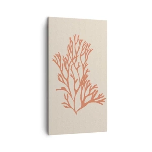 Bild auf Leinwand - Leinwandbild - Korallenfiligran - 45x80 cm
