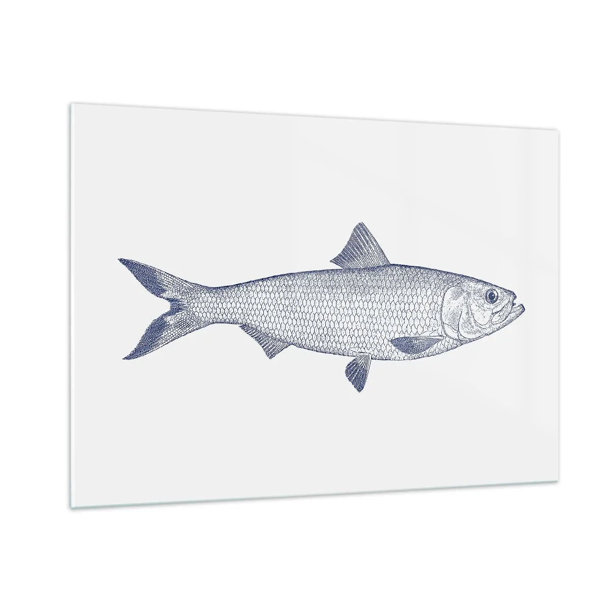 Glasbild - Bild auf glas - Fischskizze im Vintage-Stil auf hellem Hintergrund - 100x70cm - Grüße aus den nördlichen Meeren - Moderne Wanddekoration für Wohnzimmer und Schlafzimmer ARTTOR