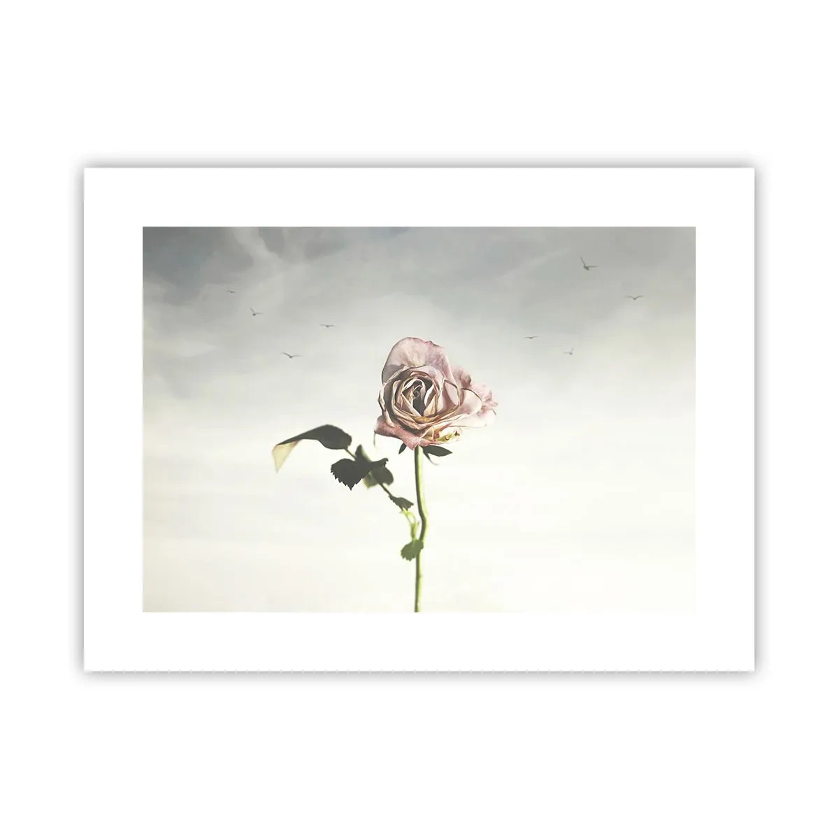 Poster - Begrüßung des Frühlings - 40x30 cm