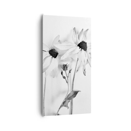 Bild auf Leinwand - Leinwandbild - Niemand will allein sein - 65x120 cm