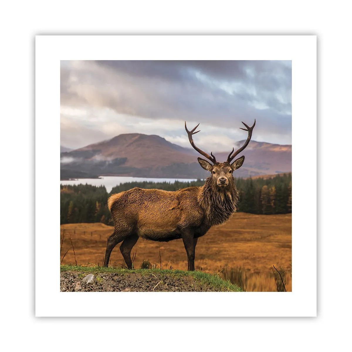 Poster - Die Majestät der Natur - 40x40 cm