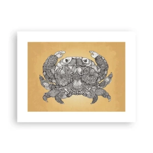 Poster - Geschichten von Mr. Krabs - 40x30 cm