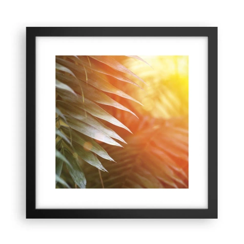 Poster in einem schwarzem Rahmen - Morgen im Dschungel - 30x30 cm