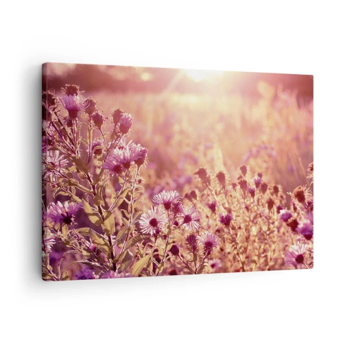 Bild auf Leinwand - Leinwandbild - Wiese im Licht der untergehenden Sonne - 70x50cm - Bevor der Sommer vorbei ist - Moderne Wanddekoration für Wohnzimmer und Schlafzimmer ARTTOR