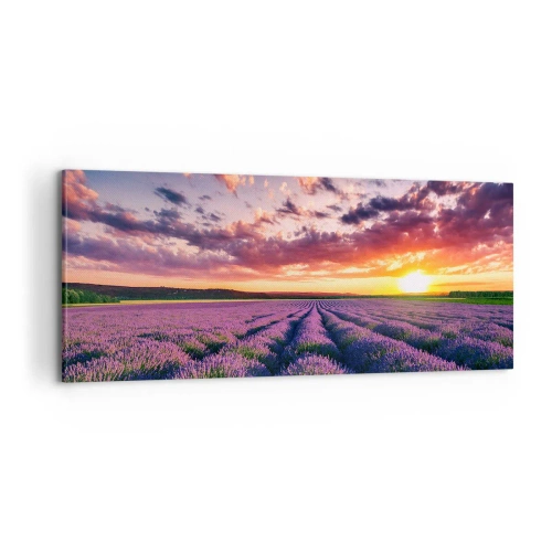 Bild auf Leinwand - Leinwandbild - Lavendel Welt - 100x40 cm