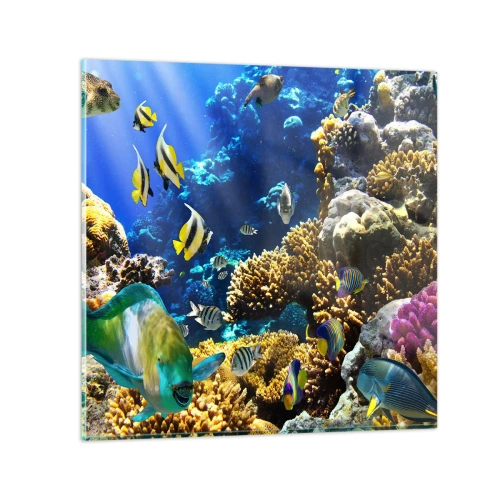 Glasbild - Bild auf glas - Viel Verkehr auf dem Ferienweg - 50x50 cm