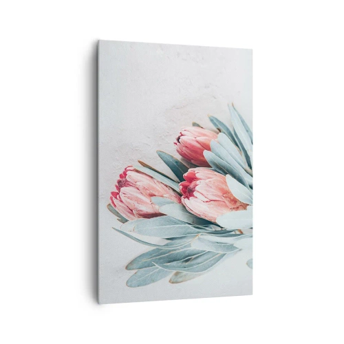 Bild auf Leinwand - Leinwandbild - Dezente rosa Protea-Blüten auf hellem Hintergrund - 80x120cm - Schämen sich für ihre eigene Schönheit - Moderne Wanddekoration für Wohnzimmer und Schlafzimmer ARTTOR