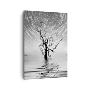 Bild auf Leinwand - Leinwandbild - Ein Baum im Wasser unter einem Nachthimmel mit sich bewegenden Sternen - 50x70cm - Eine Sinfonie der Natur - Moderne Wanddekoration für Wohnzimmer und Schlafzimmer ARTTOR