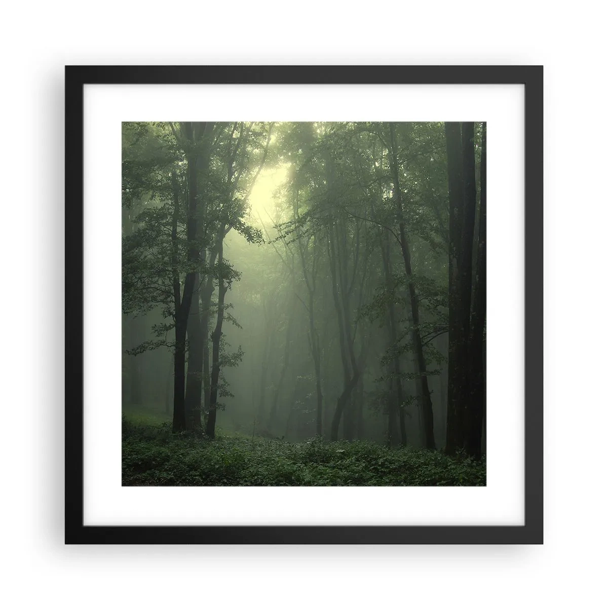 Poster in einem schwarzem Rahmen - Bevor er aufwacht - 40x40 cm