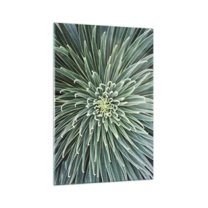 Glasbild - Bild auf glas - Symmetrische Anordnung grüner Blätter, die einem Stern ähneln - 70x100cm - Ein Star ist geboren - Moderne Wanddekoration für Wohnzimmer und Schlafzimmer ARTTOR